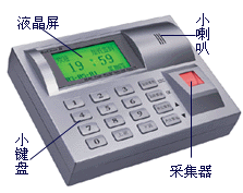 �Ϻ���̩��Ʒ��ƣ���װ��ά�ޣ�������ά��