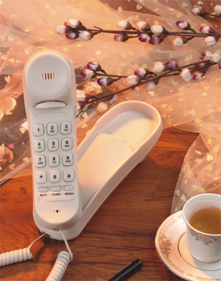 �Ϻ���̩��Ʒ��ƣ���װ��ά�ޣ�������ά��